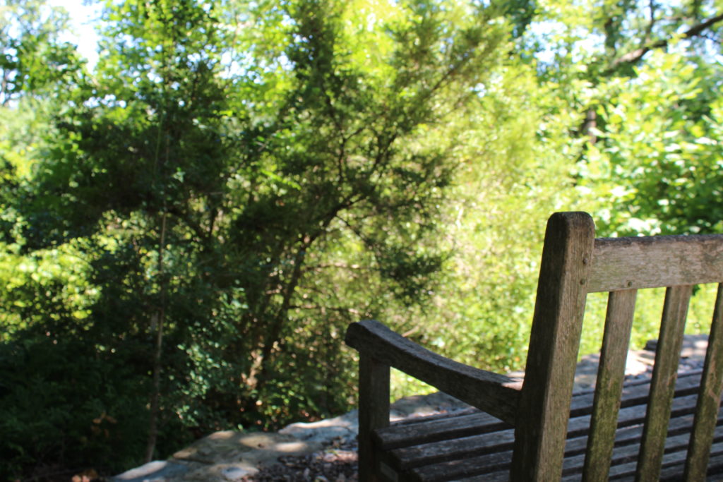 The left side of a wooden bench in a shady wooded area