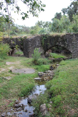 Missions 50