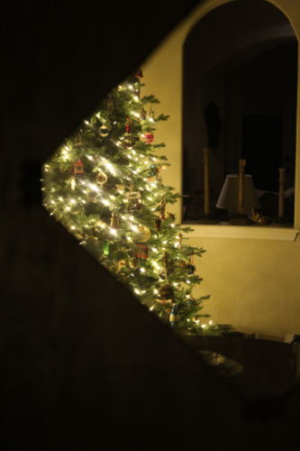 Xmas Tree 27