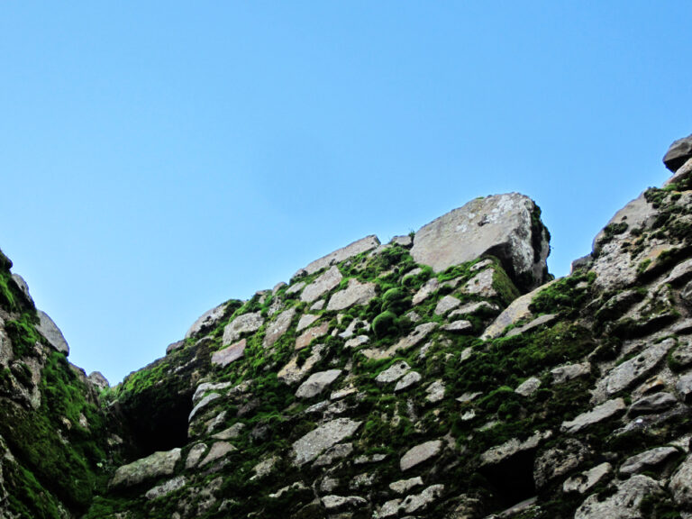 A view from the ground up to the top of a partially-ruined wall on the grounds of Castle Rising Castle. Moss is growing in all of the cracks between stones and even covers some of the stones completely. The grey stone and green moss are contrasted against the bright blue of the sky.